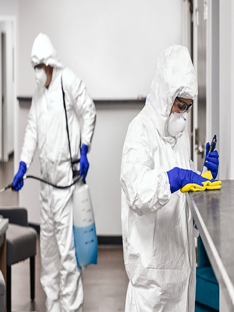 Sanitización